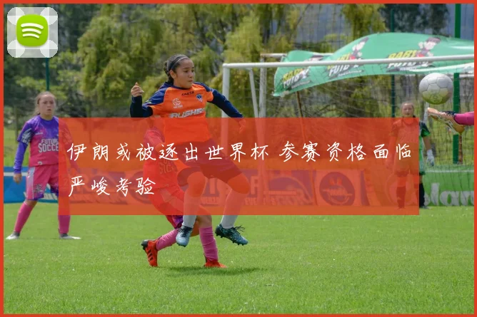 伊朗或被逐出世界杯 参赛资格面临严峻考验