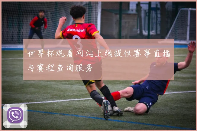 世界杯观看网站上线提供赛事直播与赛程查询服务