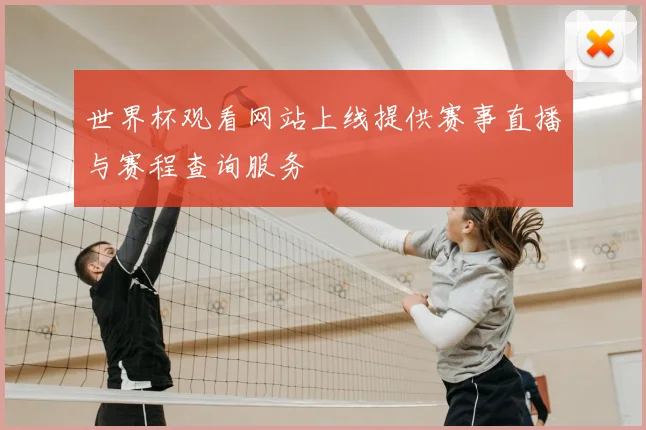 世界杯观看网站上线提供赛事直播与赛程查询服务